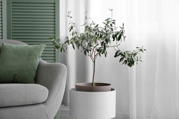 양주옥정역 디에트르 단지4